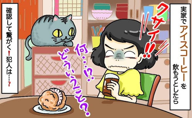 「何これクサイ！」実家でコーヒーを飲もうとすると激臭！家族に確認した結果、原因に目が点…犯人は？