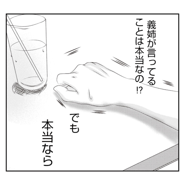 何もしない出戻り義姉がしんどい！！15-16