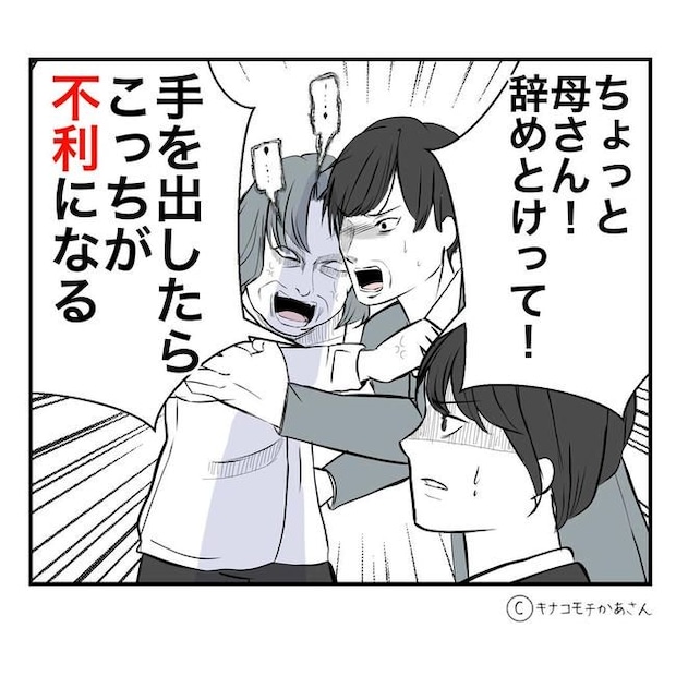 となりの奥さんは略奪妻／キナコモチかあさん