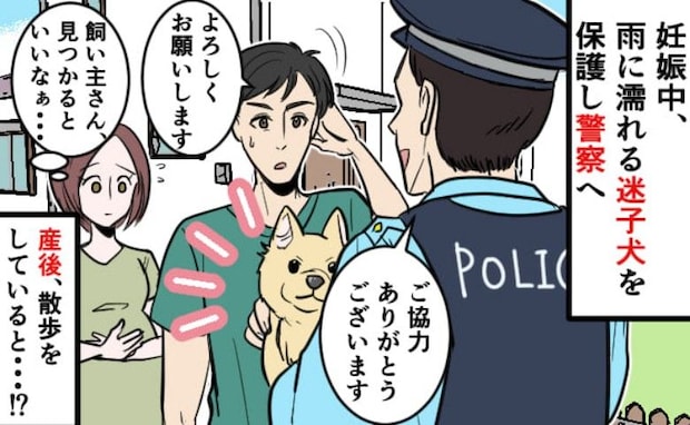 「飼い主の元に戻れますように」雨に濡れる迷い犬を保護し、警察官へ→産後、判明した驚きの事実は…