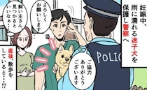 「飼い主の元に戻れますように」雨に濡れる迷い犬を保護し、警察官へ→産後、判明した驚きの事実は…