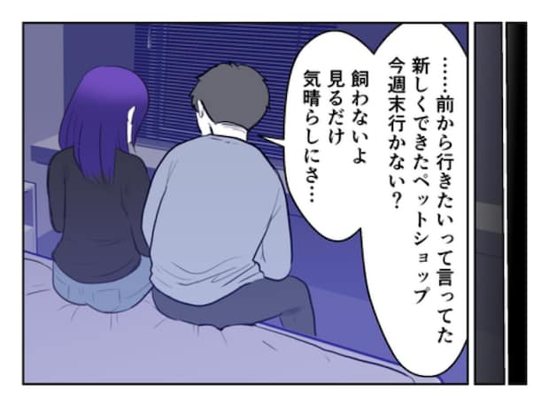DINKS〜妻が子どもを欲しがらない〜／尾持トモ