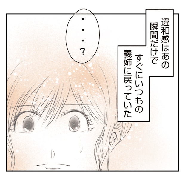 何もしない出戻り義姉がしんどい!!28-27