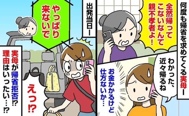 「やっぱり来ないで」え?帰ってこいと言っていた実母から帰省当日、まさかの連絡…⇒理由にあ然!