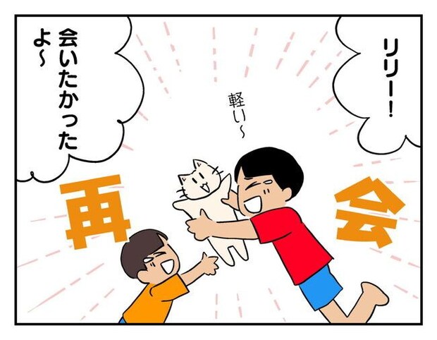 飼えなくなった猫を押し付けるママ友