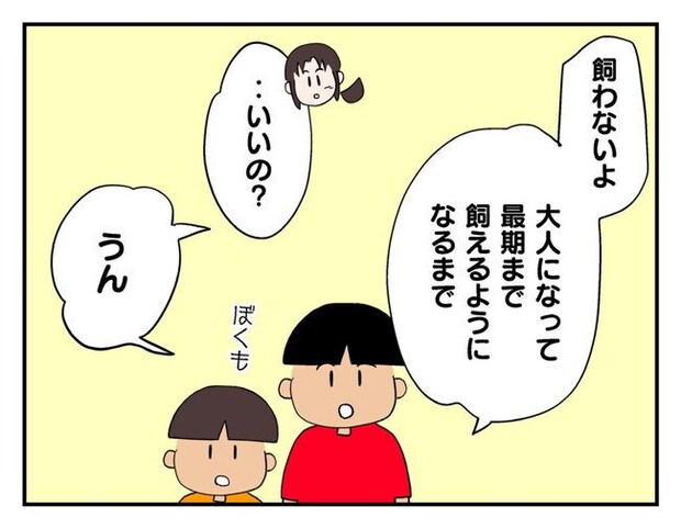 飼えなくなった猫を押し付けるママ友