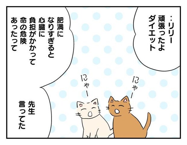 飼えなくなった猫を押し付けるママ友