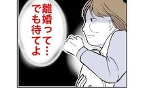産後の妻「離婚して僕と再婚して！」元彼の猛アピールに揺れる『打算的な理由』は？＜隣人は略奪妻＞