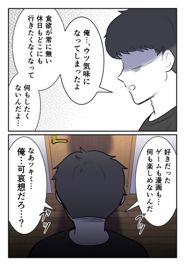 DINKS〜妻が子どもを欲しがらない〜/尾持トモ