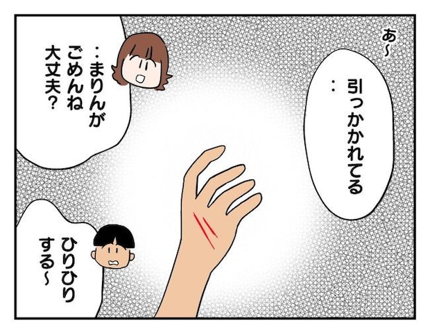 飼えなくなった猫を押し付けるママ友