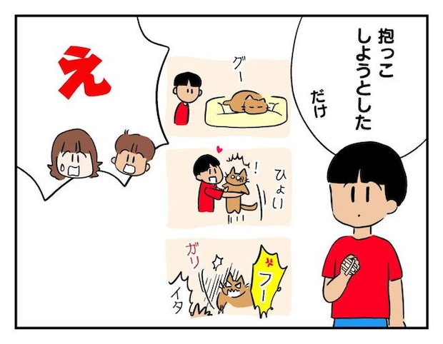 飼えなくなった猫を押し付けるママ友