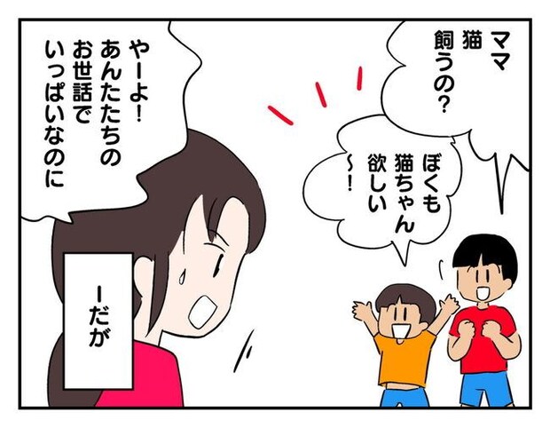 飼えなくなった猫を押し付けるママ友