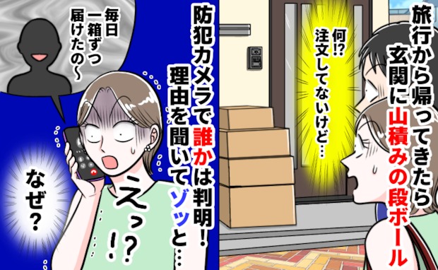 旅行から帰ると玄関に大量の段ボール！？注文していないのに…→防犯カメラを見た夫婦が固まったワケ
