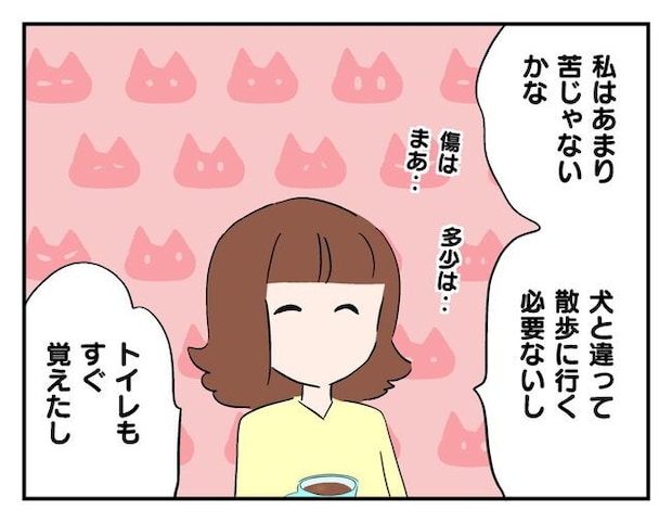 飼えなくなった猫を押し付けるママ友