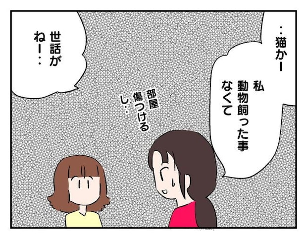 飼えなくなった猫を押し付けるママ友