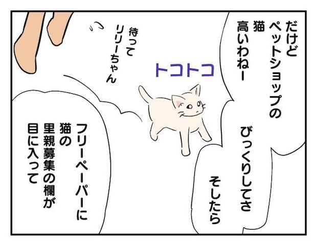 飼えなくなった猫を押し付けるママ友