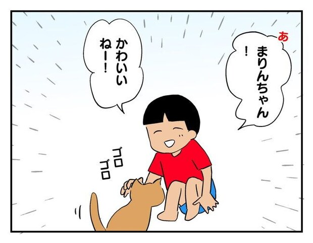 飼えなくなった猫を押し付けるママ友