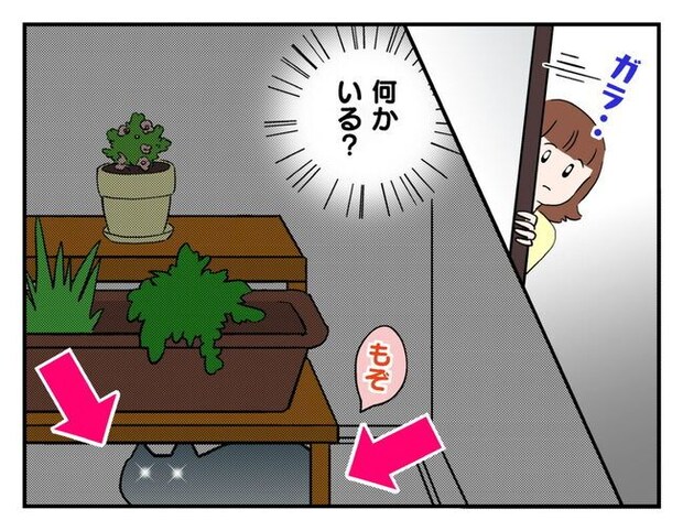 飼えなくなった猫を押し付けるママ友
