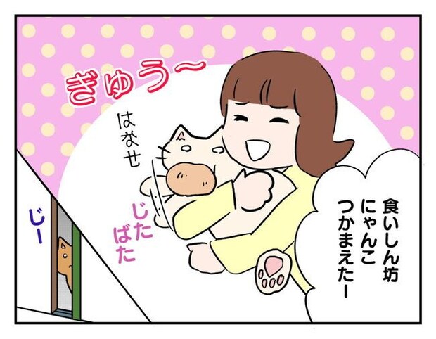 飼えなくなった猫を押し付けるママ友