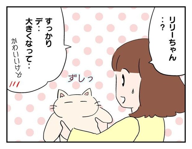 飼えなくなった猫を押し付けるママ友