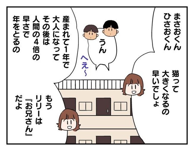 飼えなくなった猫を押し付けるママ友