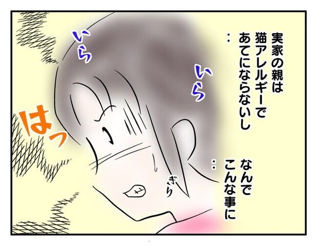飼えなくなった猫を押し付けるママ友