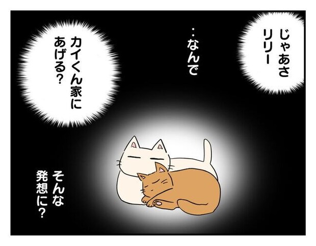 飼えなくなった猫を押し付けるママ友