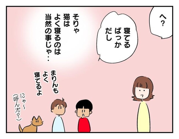 飼えなくなった猫を押し付けるママ友