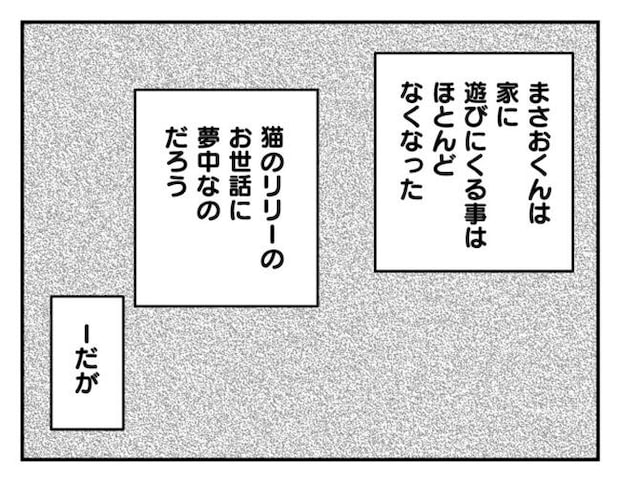 飼えなくなった猫を押し付けるママ友