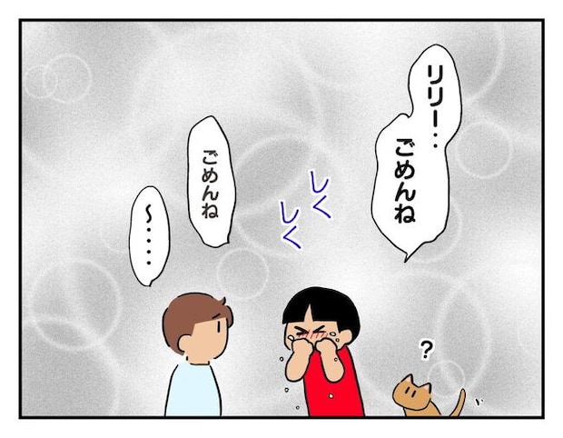 飼えなくなった猫を押し付けるママ友