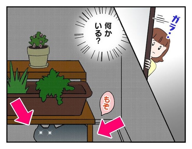 飼えなくなった猫を押し付けるママ友