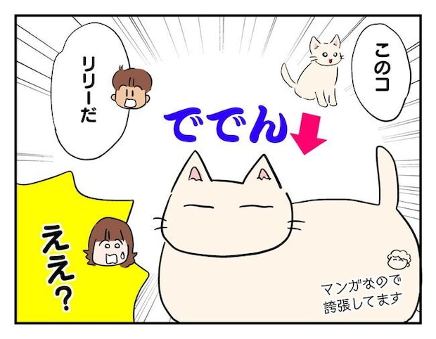 飼えなくなった猫を押し付けるママ友