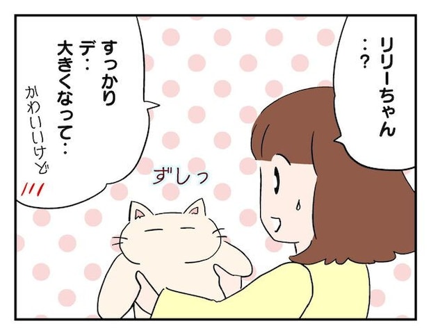 飼えなくなった猫を押し付けるママ友