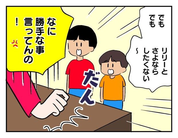飼えなくなった猫を押し付けるママ友