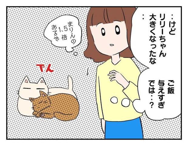 飼えなくなった猫を押し付けるママ友