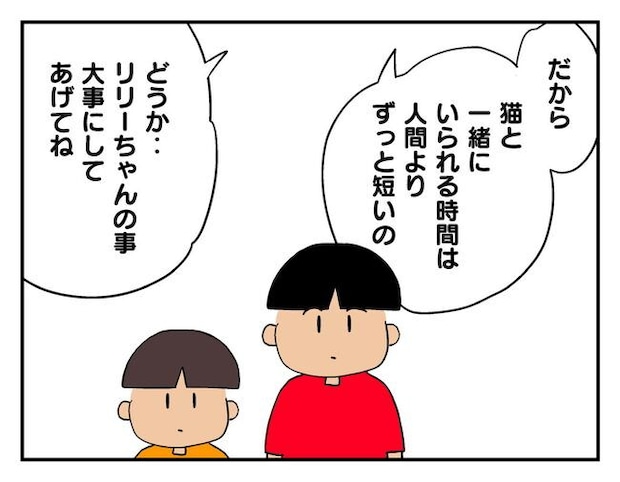 飼えなくなった猫を押し付けるママ友