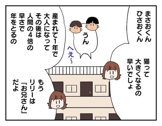飼えなくなった猫を押し付けるママ友
