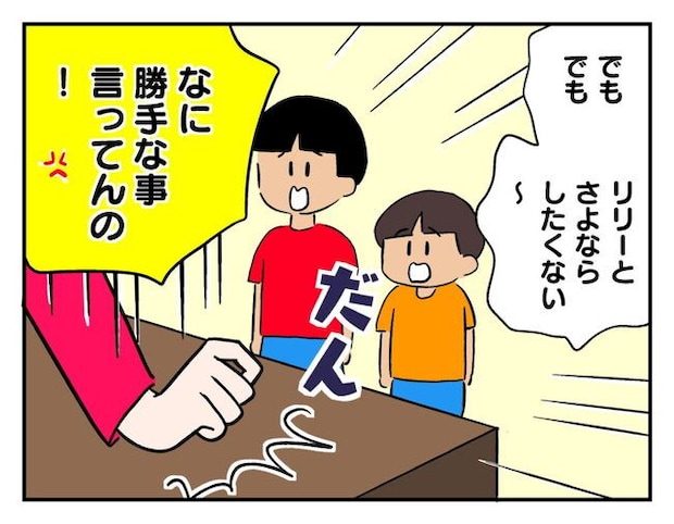 飼えなくなった猫を押し付けるママ友