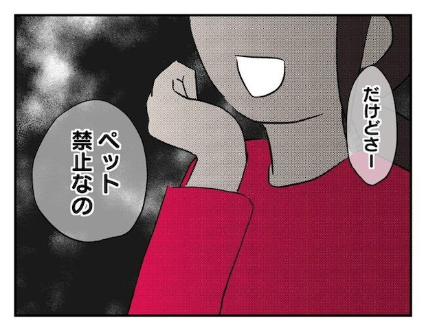 飼えなくなった猫を押し付けるママ友
