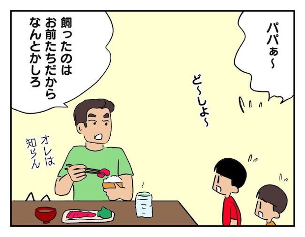 飼えなくなった猫を押し付けるママ友