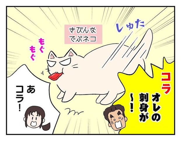 飼えなくなった猫を押し付けるママ友