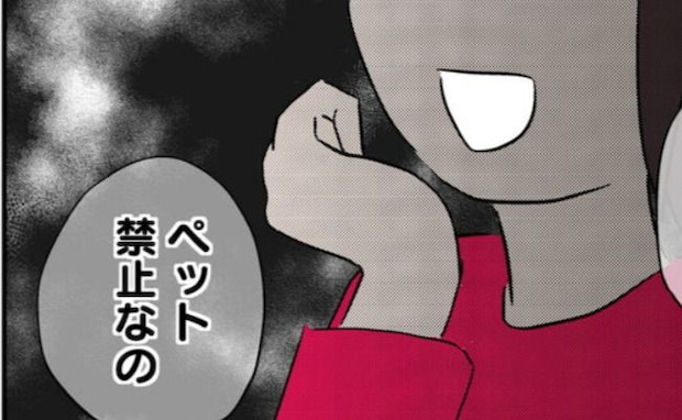 子「捨てちゃうの！？」母「できるものなら…」引越しで猫を邪魔者扱い！？飼い主の自己中すぎる本性
