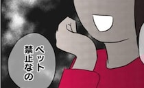 子「捨てちゃうの！？」母「できるものなら…」引越しで猫を邪魔者扱い！？飼い主の自己中すぎる本性