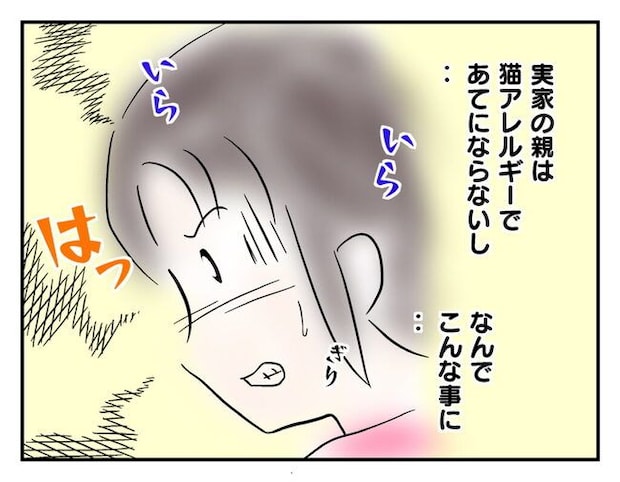 飼えなくなった猫を押し付けるママ友