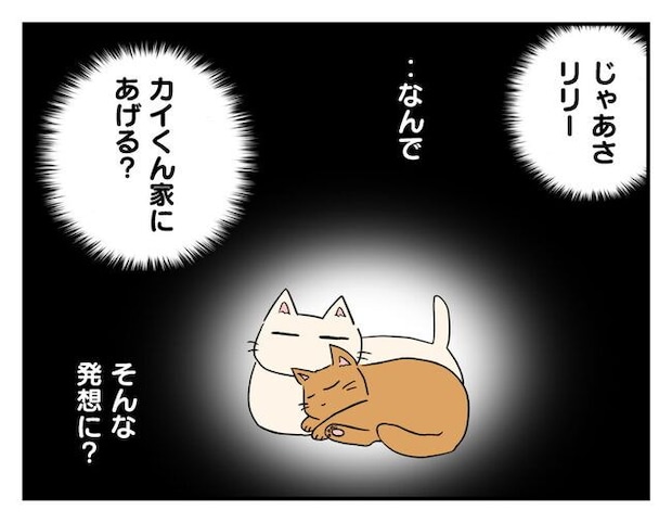 飼えなくなった猫を押し付けるママ友