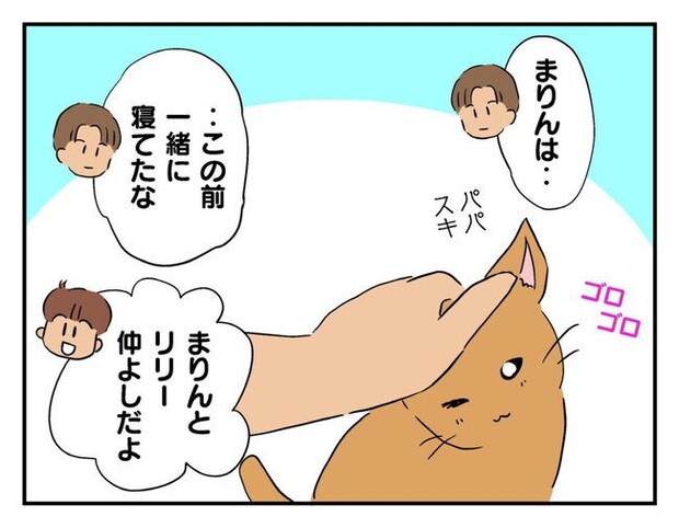飼えなくなった猫を押し付けるママ友