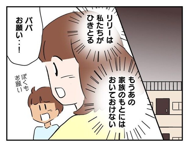 飼えなくなった猫を押し付けるママ友
