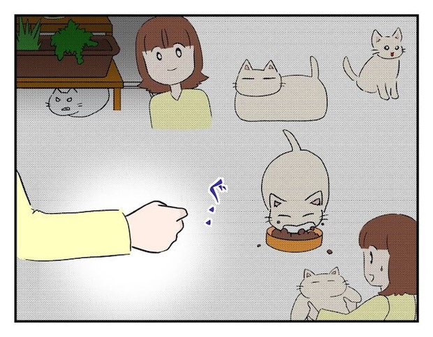 飼えなくなった猫を押し付けるママ友