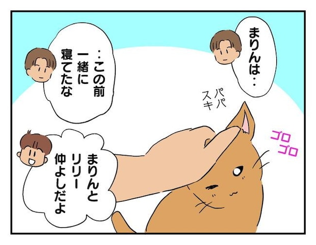 飼えなくなった猫を押し付けるママ友