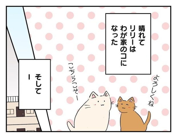 飼えなくなった猫を押し付けるママ友
